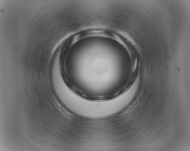 X0000071851356200606301327