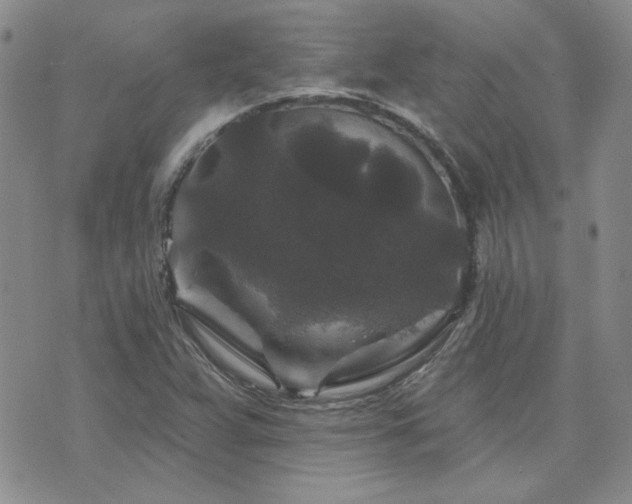 X0000071851359200606301327