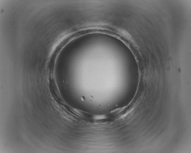 X0000071851360200606301327