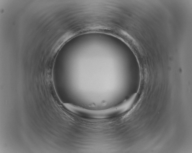 X0000071851361200606301327