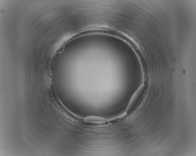 X0000071851363200606301327