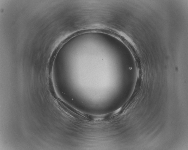 X0000071851364200606301327