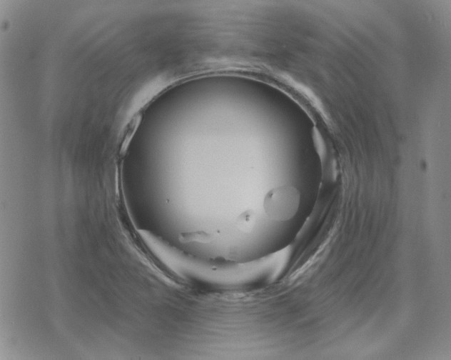 X0000071851365200606301327