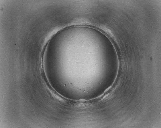 X0000071851366200606301327