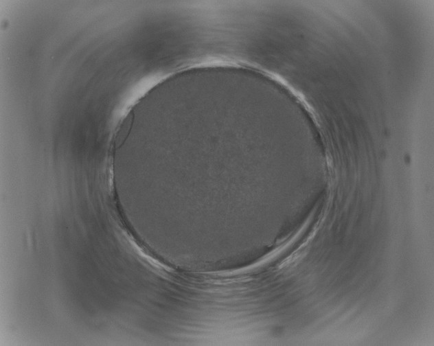 X0000071851367200606301327