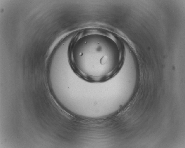 X0000071851368200606301327