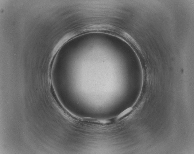 X0000071851370200606301327