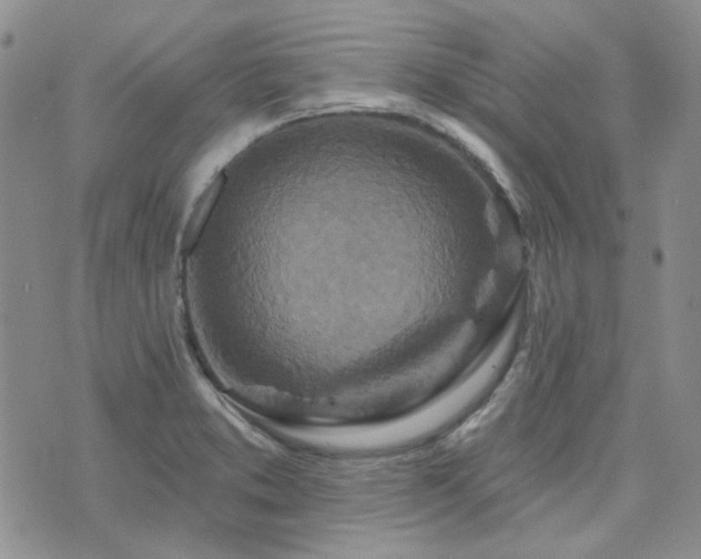 X0000071851373200606301327