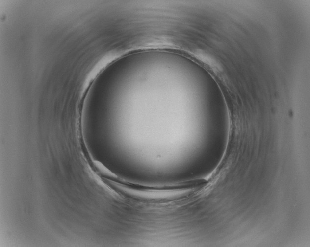 X0000071851374200606301327