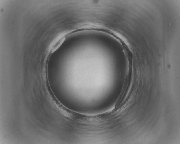 X0000071851375200606301327