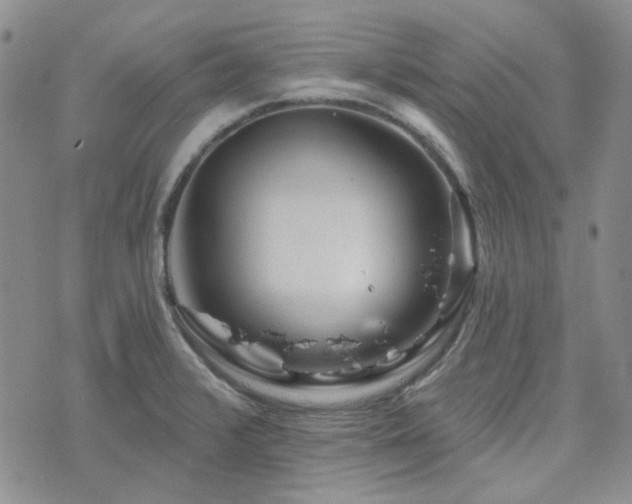 X0000071851376200606301326