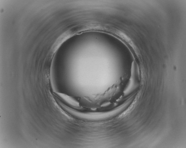 X0000071851377200606301326