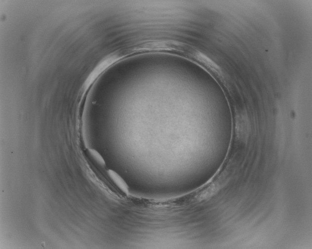 X0000071851378200606301326