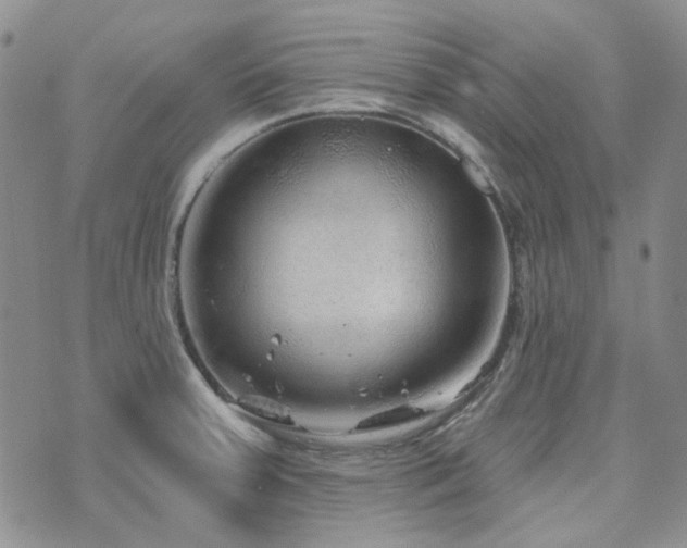 X0000071851379200606301326