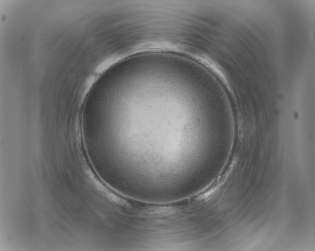 X0000071851382200606301326