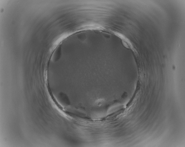 X0000071851383200606301326