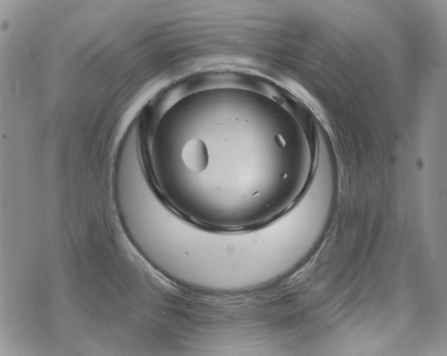 X0000071851384200606301326