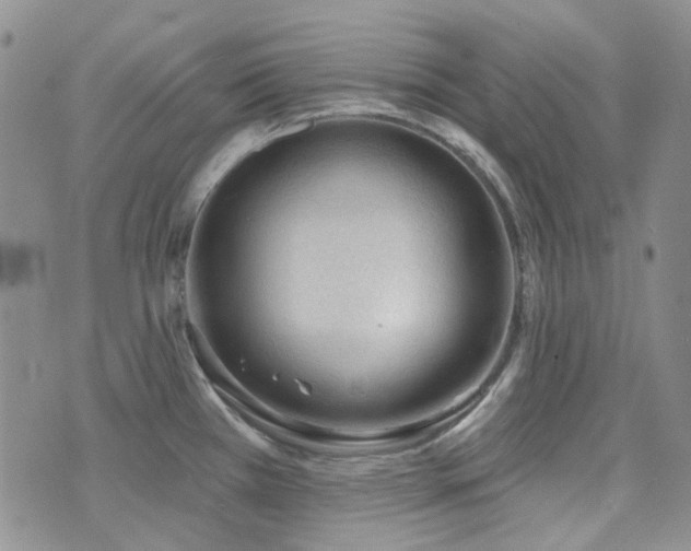 X0000071851385200606301326