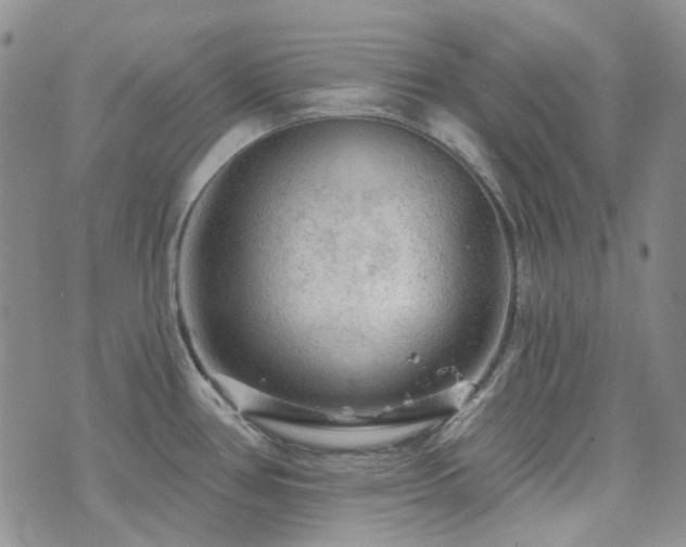 X0000071851386200606301326