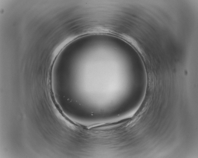 X0000071851387200606301326