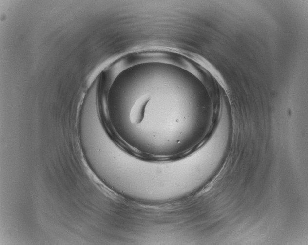 X0000071851388200606301326