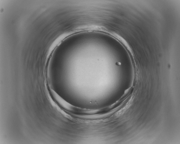 X0000071851389200606301326