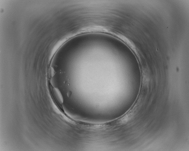 X0000071851390200606301326