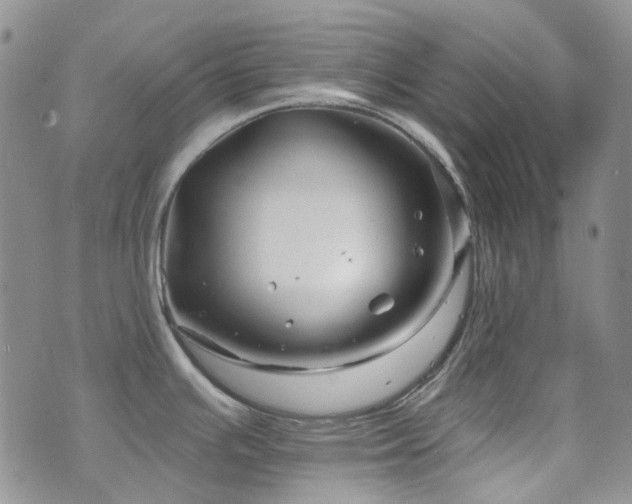 X0000071851391200606301326