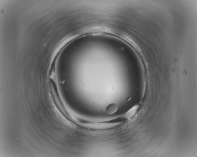 X0000071851392200606301326