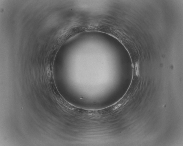 X0000071851395200606301325