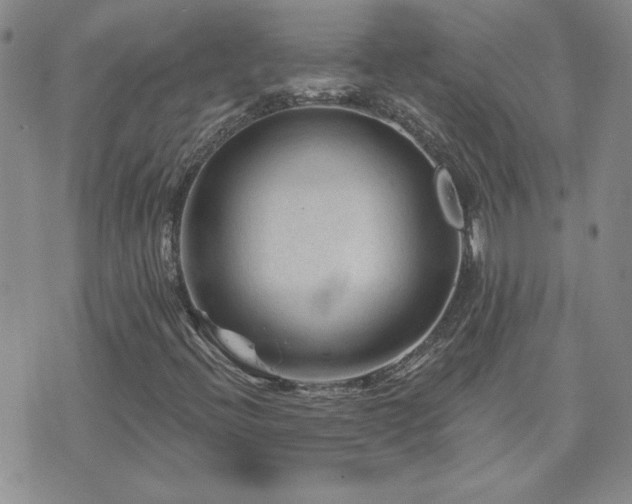 X0000071851396200606301326