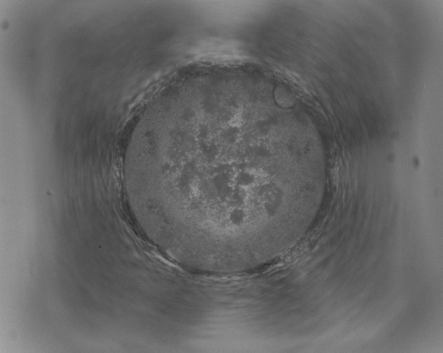 X0000071851397200606301326