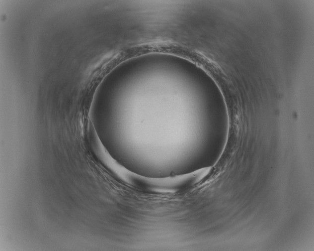 X0000071851398200606301326