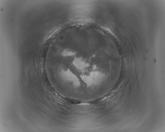 X0000071851399200606301326