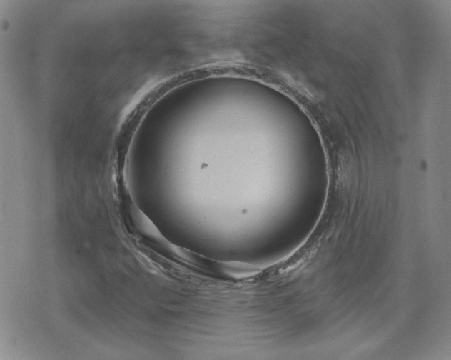 X0000071851400200606301326