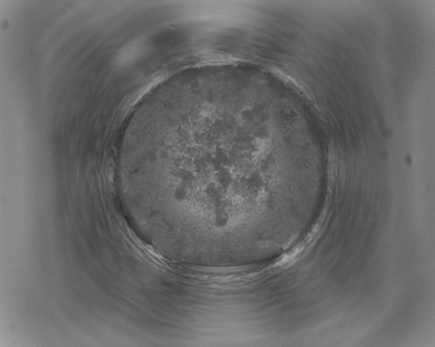 X0000071851401200606301326