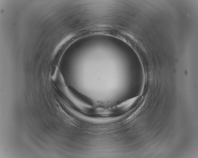 X0000071851402200606301326