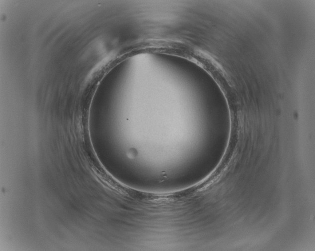 X0000071851403200606301326