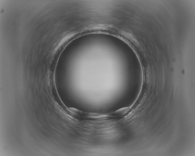 X0000071851404200606301326