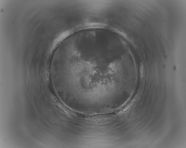 X0000071851405200606301326