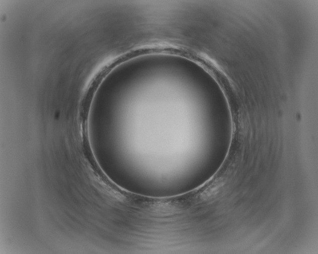 X0000071851408200606301326