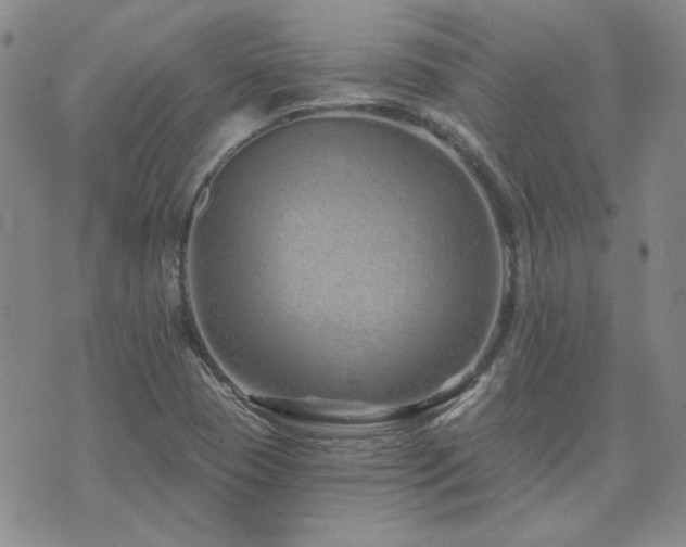 X0000071851409200606301326