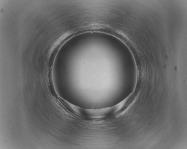 X0000071851410200606301326