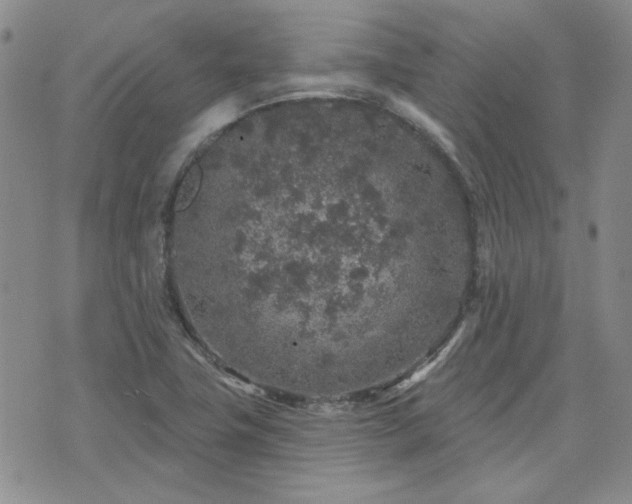 X0000071851411200606301326