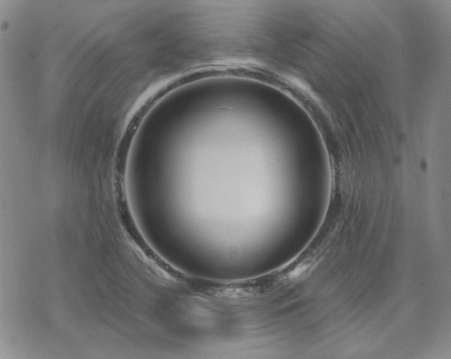 X0000071851412200606301326