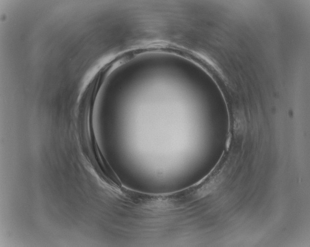 X0000071851414200606301326