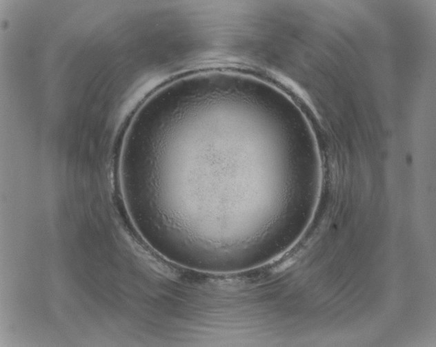 X0000071851415200606301326