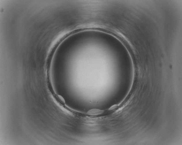 X0000071851416200606301326