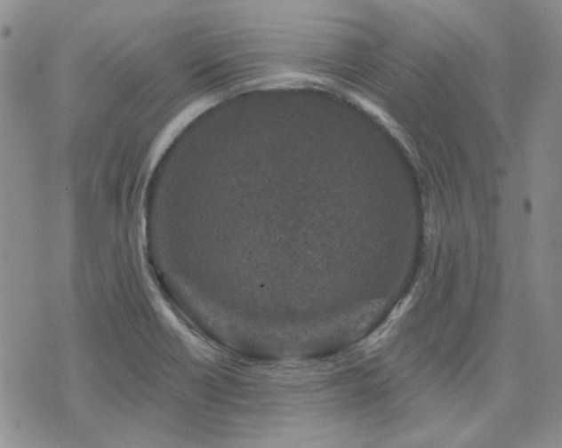 X0000071851418200606301326