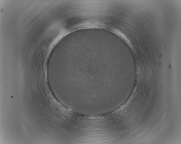 X0000071851419200606301326